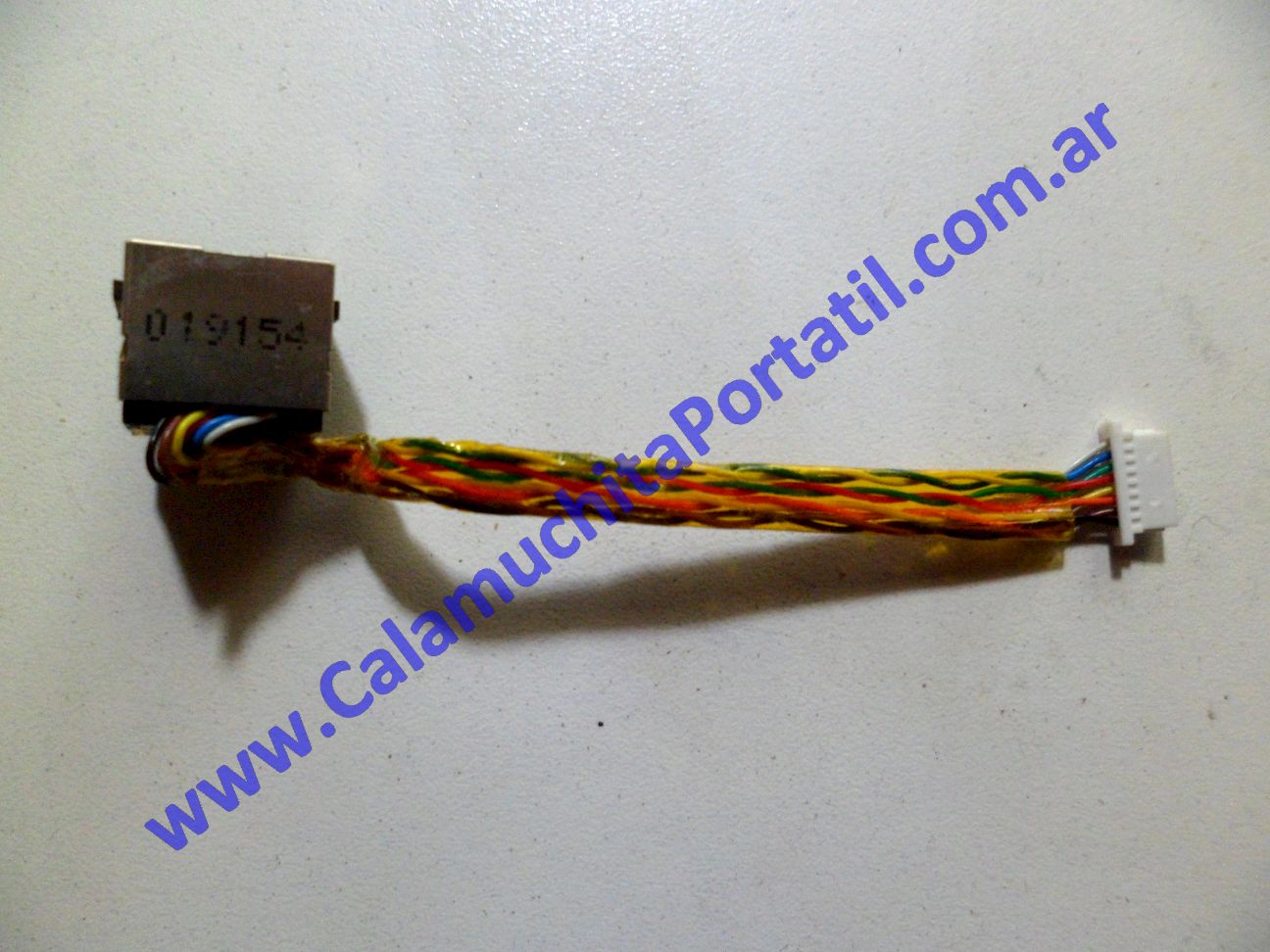 Conector Lan CX CXPH10
