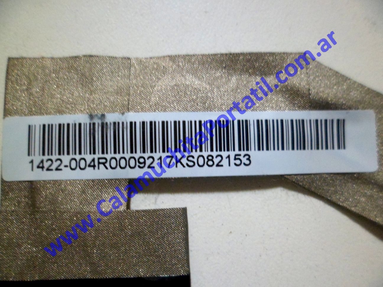 Flex Video Asus Eee PC 1000HA