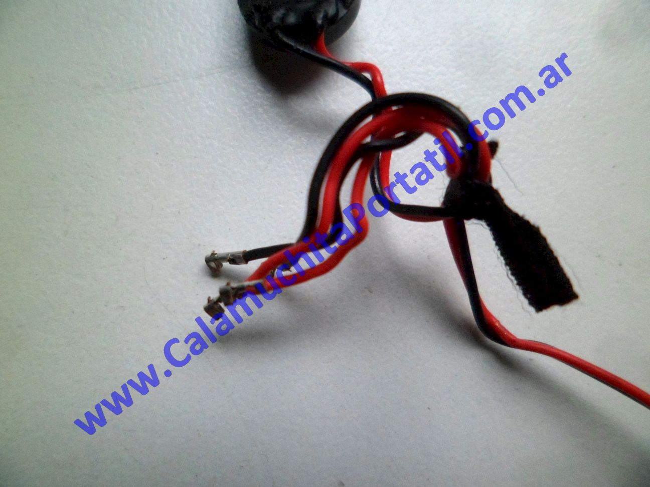Parlantes CX CXPH10