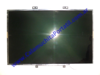 Display Acer Aspire 5520-5148 - ICW50